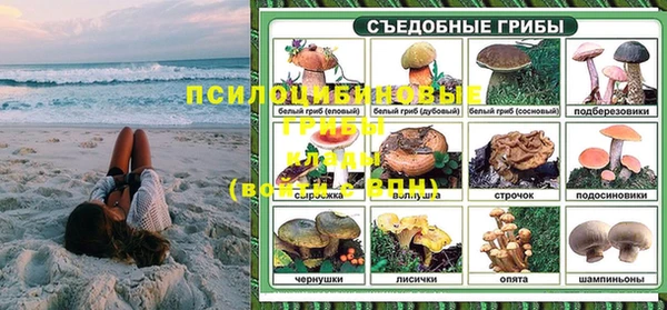 крисы Беломорск
