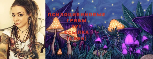 гашик Баксан