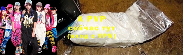 гашик Баксан