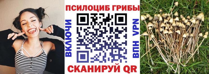 hydra сайт  цены   Кизел  Галлюциногенные грибы Magic Shrooms 