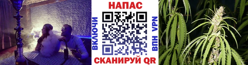 Марихуана конопля Кизел